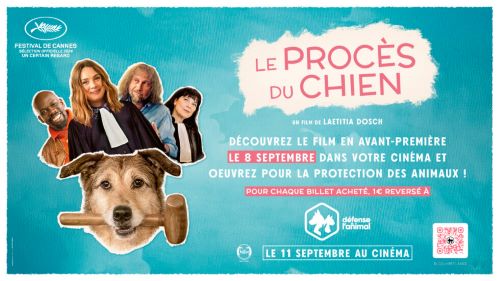 Affiche film