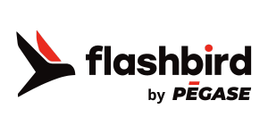 logo flashbird