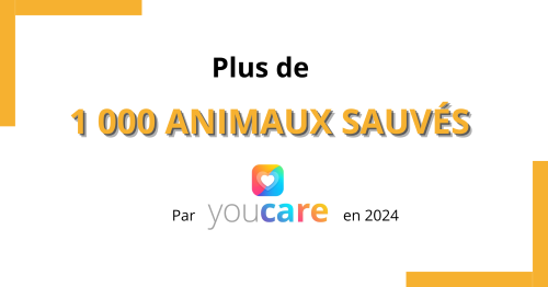 plus de 1000 sauvetages